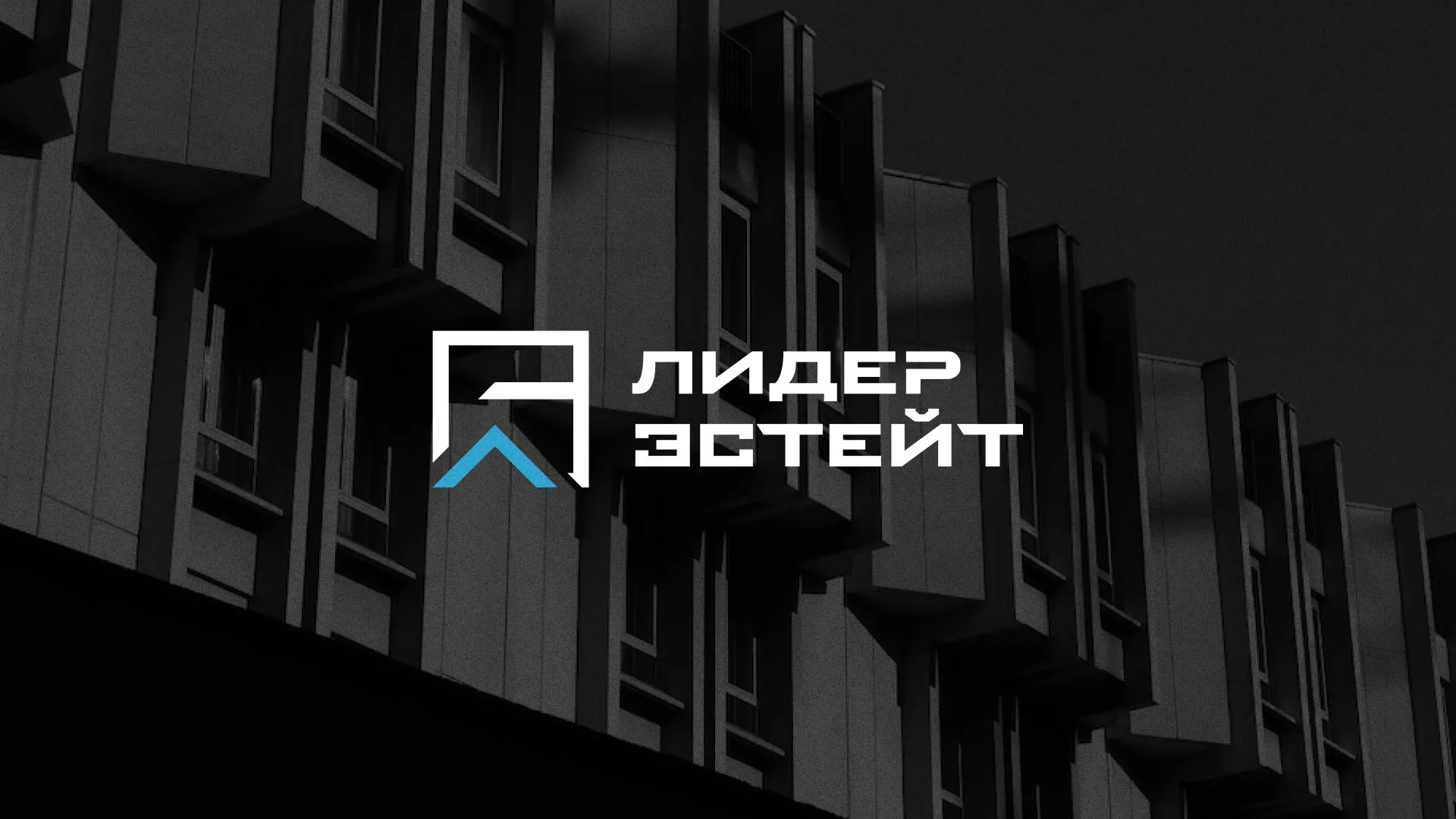 Разработка логотипа агентства недвижимости «Лидер Эстейт» в Сергаче
